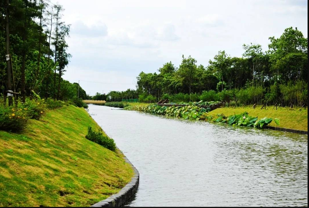 雙橋河鎮(zhèn)武警部隊外圍溝渠水環(huán)境治理工程